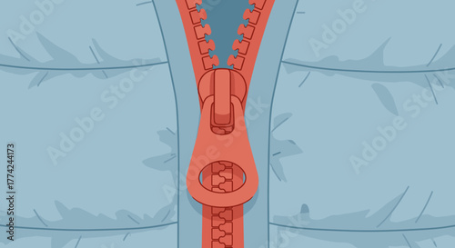 down jacket zipper closeup