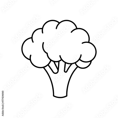Outline drawing of broccoli on transparent background