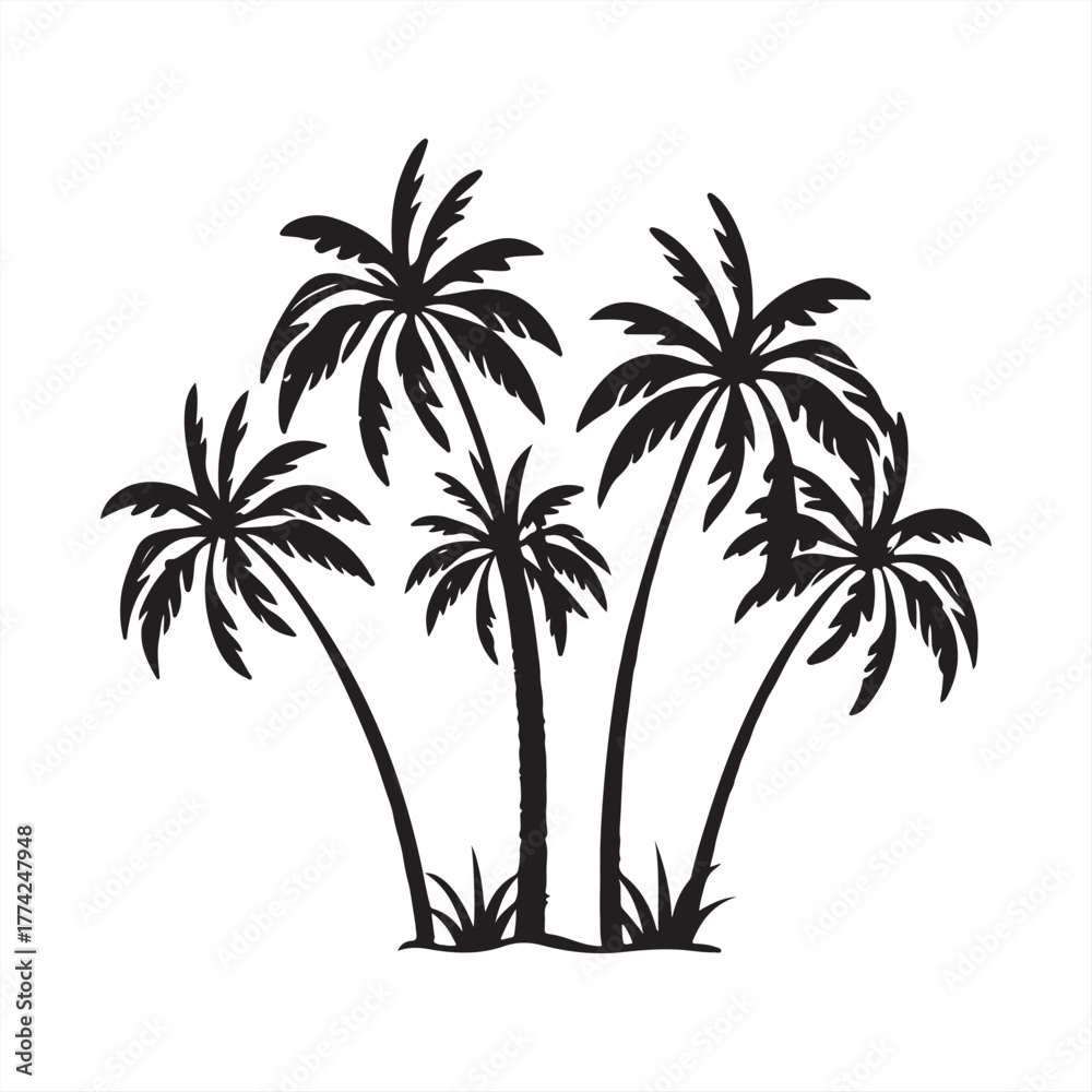 Obraz premium Group of palm trees, tropical summer vacation