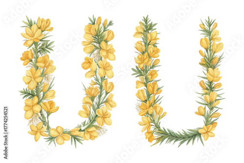 Watercolor Letter U with flower vector illustration