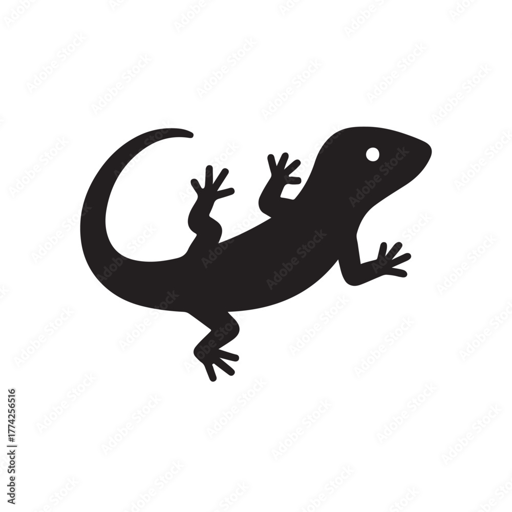 Obraz premium lizard on white background