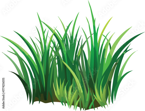 A vibrant cluster of lush green grass blades isolated on white