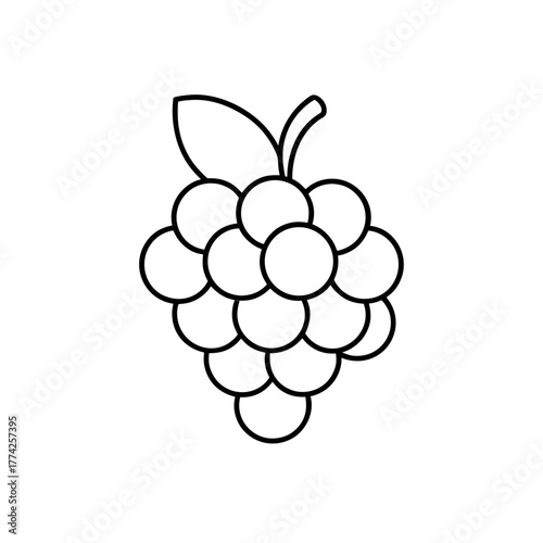 Outline drawing of grapes on transparent background