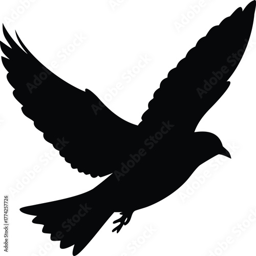 A silhouette of a bird in flight wings spread widely open