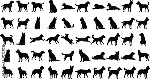 Collection of various dog silhouettes in different poses, standing, sitting, and running, black animal vector set for design, decoration, and pattern use