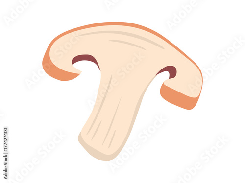 Fungus Slice Illustration
