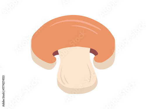 Fungus Slice Illustration
