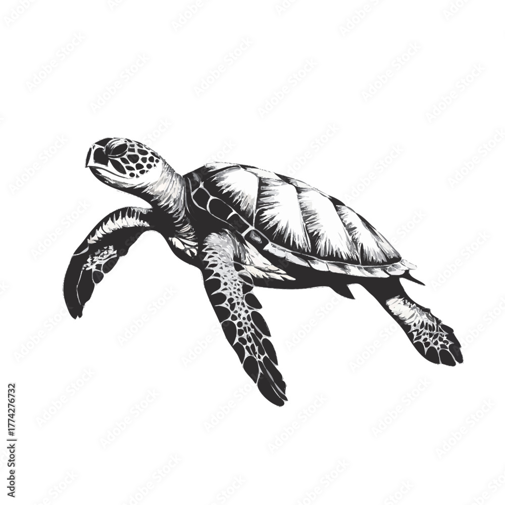 Fototapeta premium sea turtle vector illustration