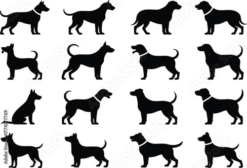 Dog Silhouette Poses Set Vector - Pet Animal Body Outline Collection