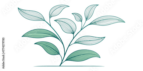 Vector illustration of a plant with green leaves and thin line details on a white background design space