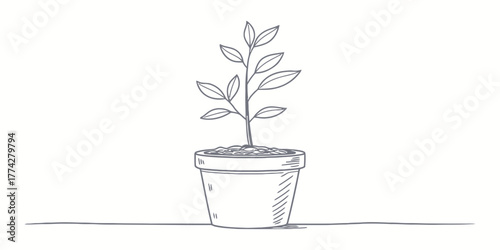 Vector sketch of a potted plant with leaves sprouting upwards on a white background in simple line drawing style