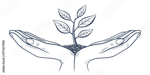 Vector two hands holding a small plant with leaves growing from soil in a black and white line drawing style