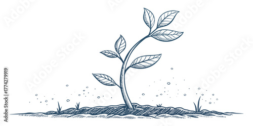 Vector illustration of a young plant with leaves growing from the ground in black and white style design