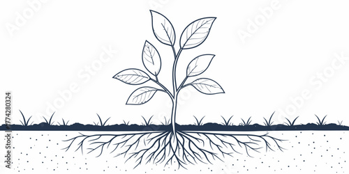 Vector illustration of a young plant with leaves and roots in the ground with grass on the surface