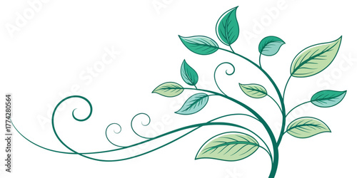 Vector illustration of a leafy green plant with swirling vines extending to the left side of the frame