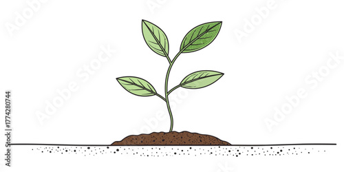 Vector illustration of a small plant with green leaves growing out of a mound of soil on a white background