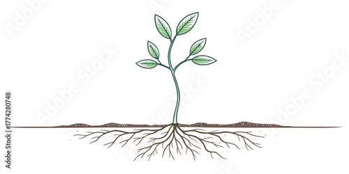 Vector illustration of a small plant with green leaves and roots growing from the ground in a simple style