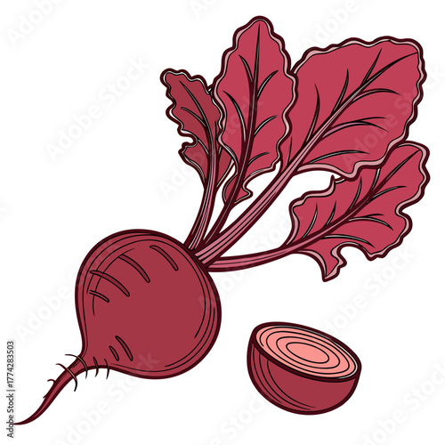 Illustration of a whole beet with leaves and a cut beet silhouette isolated on white background