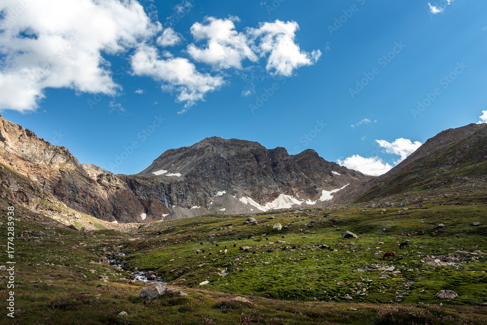 Fototapeta premium Alpine Valley and Snow-Capped Peaks, Himalayas, Pakistan