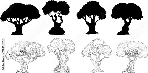 Set of stylized tree illustrations showing four designs as both black silhouettes and detailed line art drawings.