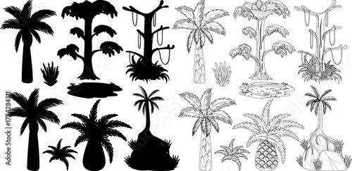 Set of tropical jungle trees and plants shown as black silhouettes and detailed line art drawings.