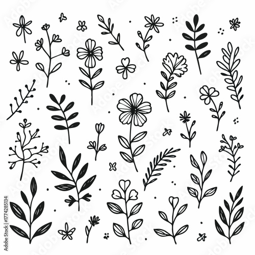 topical floral doodle handraw black and white color