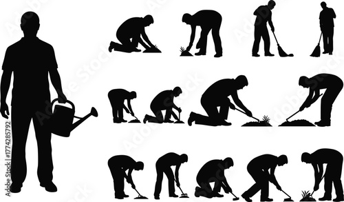 Silhouette of man gardening, watering plants, digging soil, cleaning ground, using rake and tools, vector illustration of garden work and agriculture activity