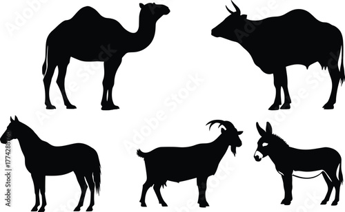 Farm and desert animal silhouette set, black vector icons of camel, cow, horse, goat, and donkey for rural themes