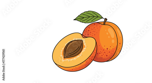 A vibrant hand-drawn illustration captures the delicious essence of two fresh apricots, one whole with a green leaf and another perfectly halved to reveal its seed.