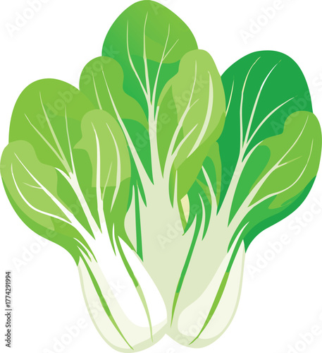 Fresh bok choy vegetables a vibrant bunch of healthy greens