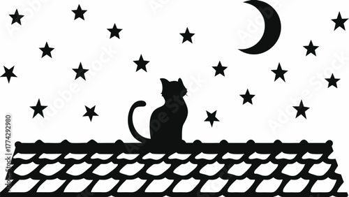 Mysterious black cat silhouetted on rooftop under a starry night sky with crescent moon