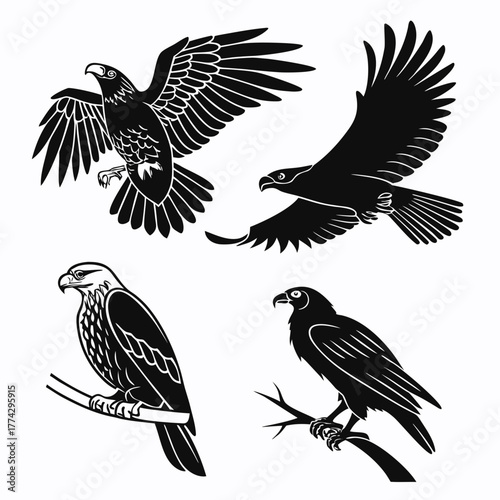 Black silhouette eagles in flight and perched on branches