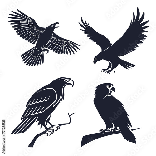 Four dark silhouette birds of prey in flight and perched