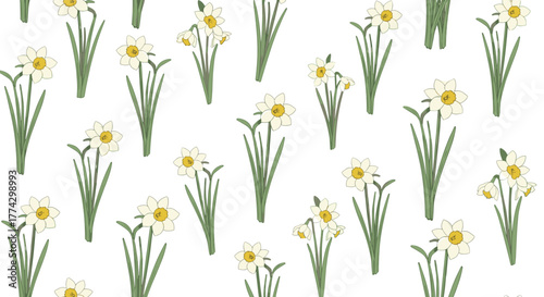 Fresh and clean pattern of illustrated white daffodils with yellow centers on a white background.