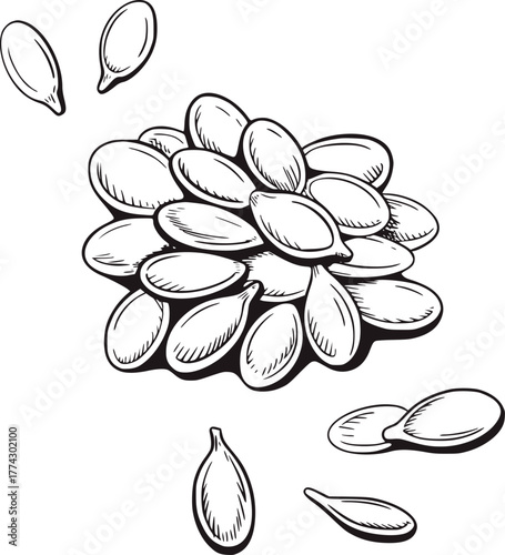 Black white hand drawn seeds illustration drawing