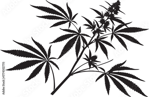 palm tree silhouette