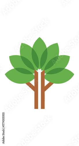 green plant isolated on white