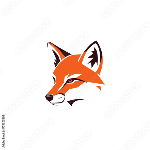 red fox isolated on white