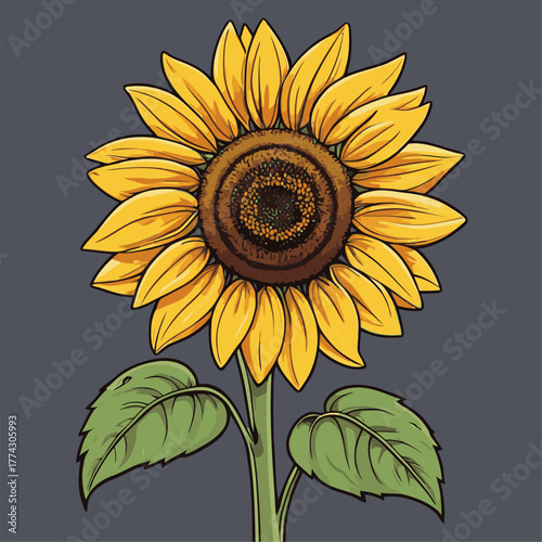 vector image of a graceful sunflower
