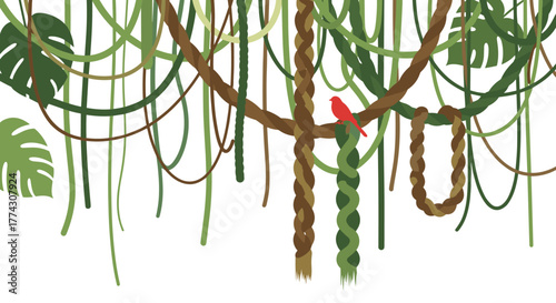 A vibrant red bird perches on a thick branch amidst a tangled canopy of jungle vines and lush green leaves, against a white background.