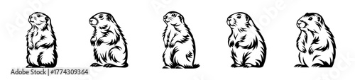 Adorable prairie dog drawings series a cute rodent family posing playfully in a simple lineup art