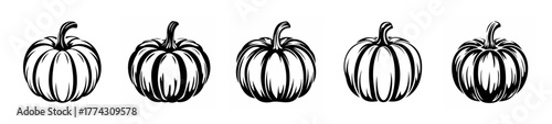 Five hand-drawn sketched pumpkins in a row perfect for autumn and halloween designs