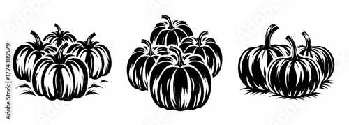 Harvest bounty three clusters of pumpkins for autumn decoration and seasonal graphics