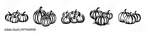 Whimsical sketchy pumpkins a delightful autumn harvest scene perfect for fall decorations and designs