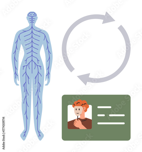 Human nervous system diagram alongside a profile ID card and cyclic arrows. Ideal for concepts of identification, medical diagnostics, healthcare systems, biology study, data flow, identity
