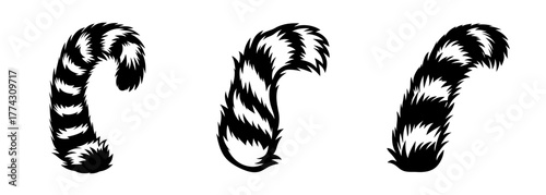 Three distinct raccoon tails with black and white ringed patterns displayed in a row