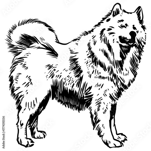 Black line art of a fluffy dog, likely a Samoyed or Spitz breed, standing and smiling with its tail curled over its back.