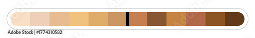 skin color palette vector – human complexion shades slider illustration
