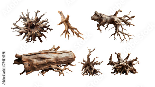 illustration of wild tree trunks and roots with high artistic value