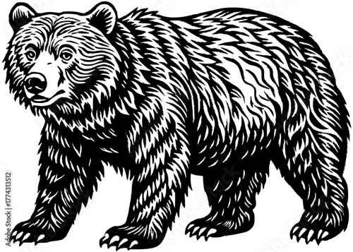 Grizzly Bear — Mighty Brown Bear of the American Wilderness